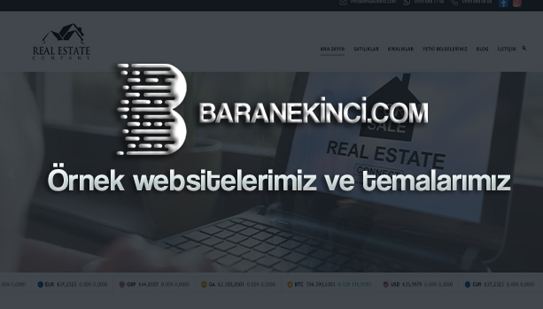 Örnek Website Şablonları